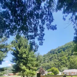 Carter County Museum - Elizabethton