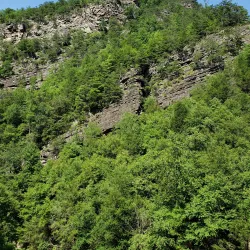 Doe River Gorge - Elizabethton