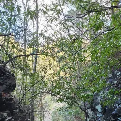 Doe River Trail - Elizabethton