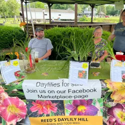Elizabethton Farmers Market - Elizabethton