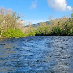 Watauga River - Elizabethton