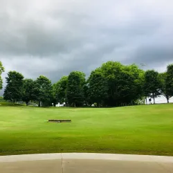 Crockett Park - Franklin