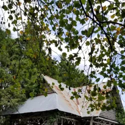 Leiper's Fork Village - Franklin