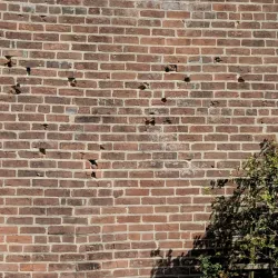 Lotz House Museum - Franklin