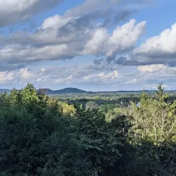 Pinkerton Park - Franklin