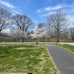 Pinkerton Park - Franklin