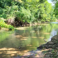 Pinkerton Park - Franklin