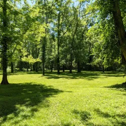 Pinkerton Park - Franklin