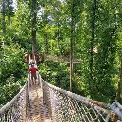 Anakeesta - Gatlinburg