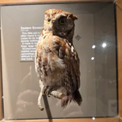 Sugarlands Visitor Center - Gatlinburg