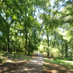 Germantown Farmers Market - Germantown