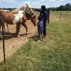 Germantown Farmers Market - Germantown