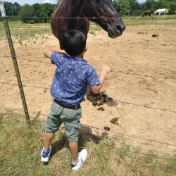 Germantown Farmers Market - Germantown