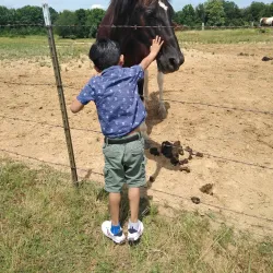 Germantown Farmers Market - Germantown