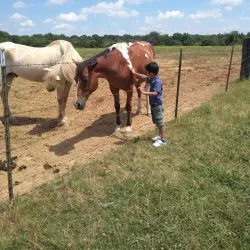 Germantown Farmers Market - Germantown