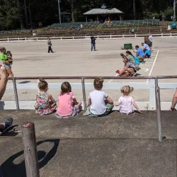 Germantown Festival Market - Germantown