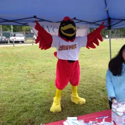 Houston Levee Park - Germantown