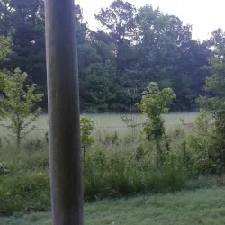 Houston Levee Park - Germantown