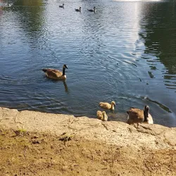 Municipal Park - Germantown