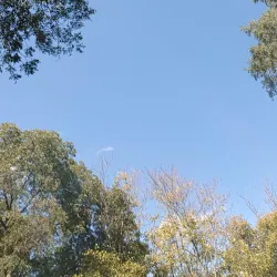 Municipal Park - Germantown