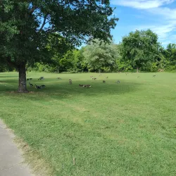 Hendersonville Community Park - Hendersonville