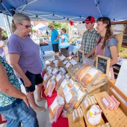 Hendersonville Farmers Market - Hendersonville