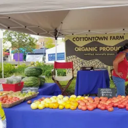 Hendersonville Farmers Market - Hendersonville