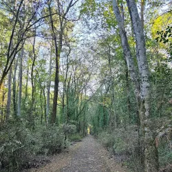 Old Hickory Lake Greenway - Hendersonville