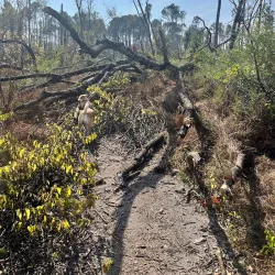 Old Hickory Lake Greenway - Hendersonville