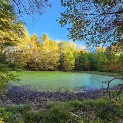 Old Hickory Lake Greenway - Hendersonville