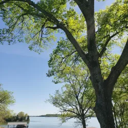 Old Hickory Lake Marina - Hendersonville