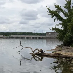 Rockland Park - Hendersonville