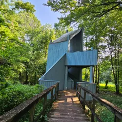 Cypress Grove Nature Park - Jackson