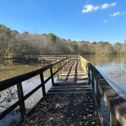 Cypress Grove Nature Park - Jackson