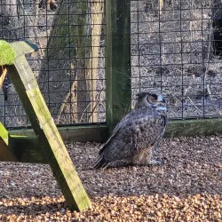 Cypress Grove Nature Park - Jackson