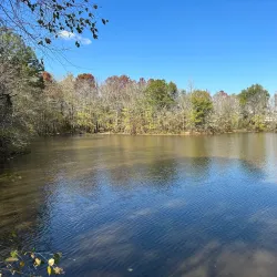 Cypress Grove Nature Park - Jackson