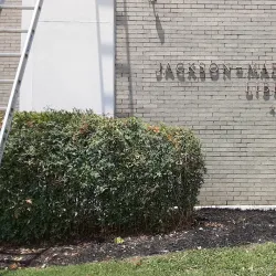 Jackson-Madison County Library - Jackson
