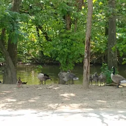 Kingsport Greenbelt - Kingsport