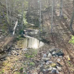 Kingsport Greenbelt - Kingsport