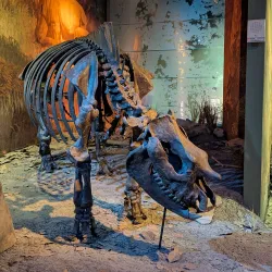 Kingsport Museum of Arts - Kingsport