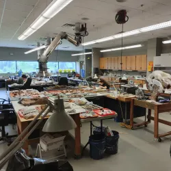 Kingsport Museum of Arts - Kingsport