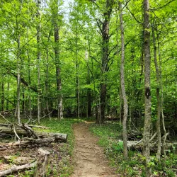 Warriors' Path State Park - Kingsport