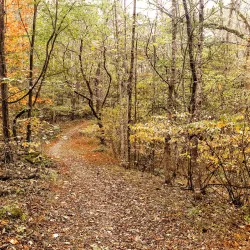 Warriors' Path State Park - Kingsport