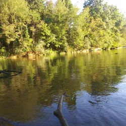 Warriors' Path State Park - Kingsport