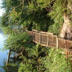 Ijams Nature Center - Knoxville