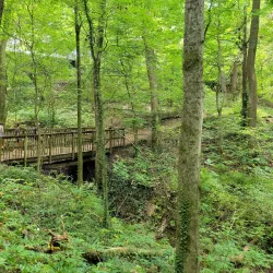 Ijams Nature Center - Knoxville