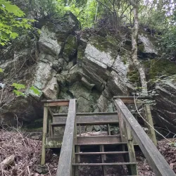 Ijams Nature Center - Knoxville