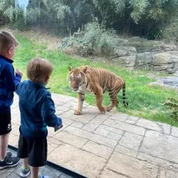 Knoxville Zoo - Knoxville