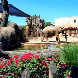 Knoxville Zoo - Knoxville