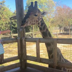 Knoxville Zoo - Knoxville